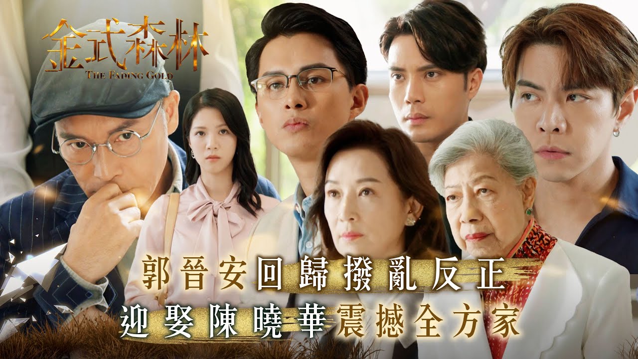 金式森林｜郭晉安回歸撥亂反正 迎娶陳曉華震撼全方家(繁/簡中字幕)｜第四集劇情｜TVB劇集｜港劇｜劇集｜電視劇TVB #郭晉安 #陳曉華 #金式森林