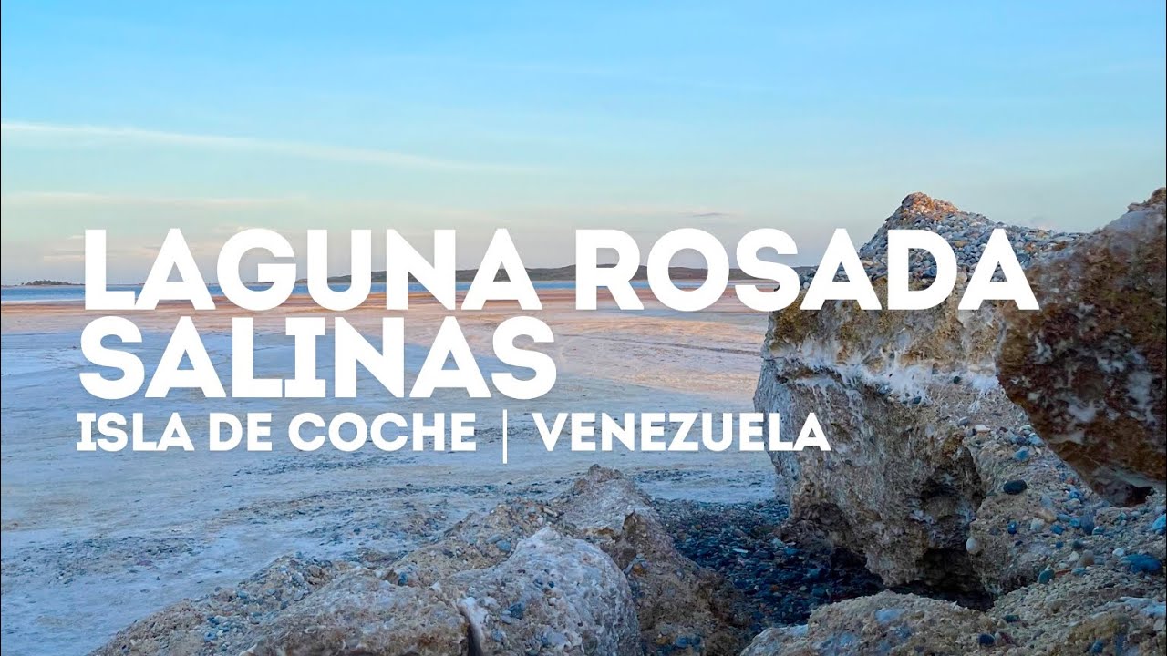Salinas de Coche, Laguna Rosada | Isla de Coche Venezuela