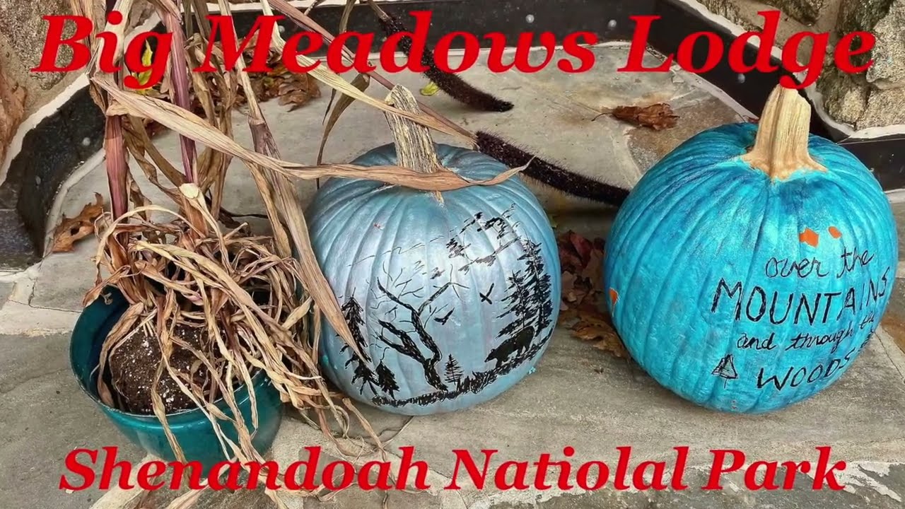 BIG MEADOWS LODGE - Shenandoah National Park