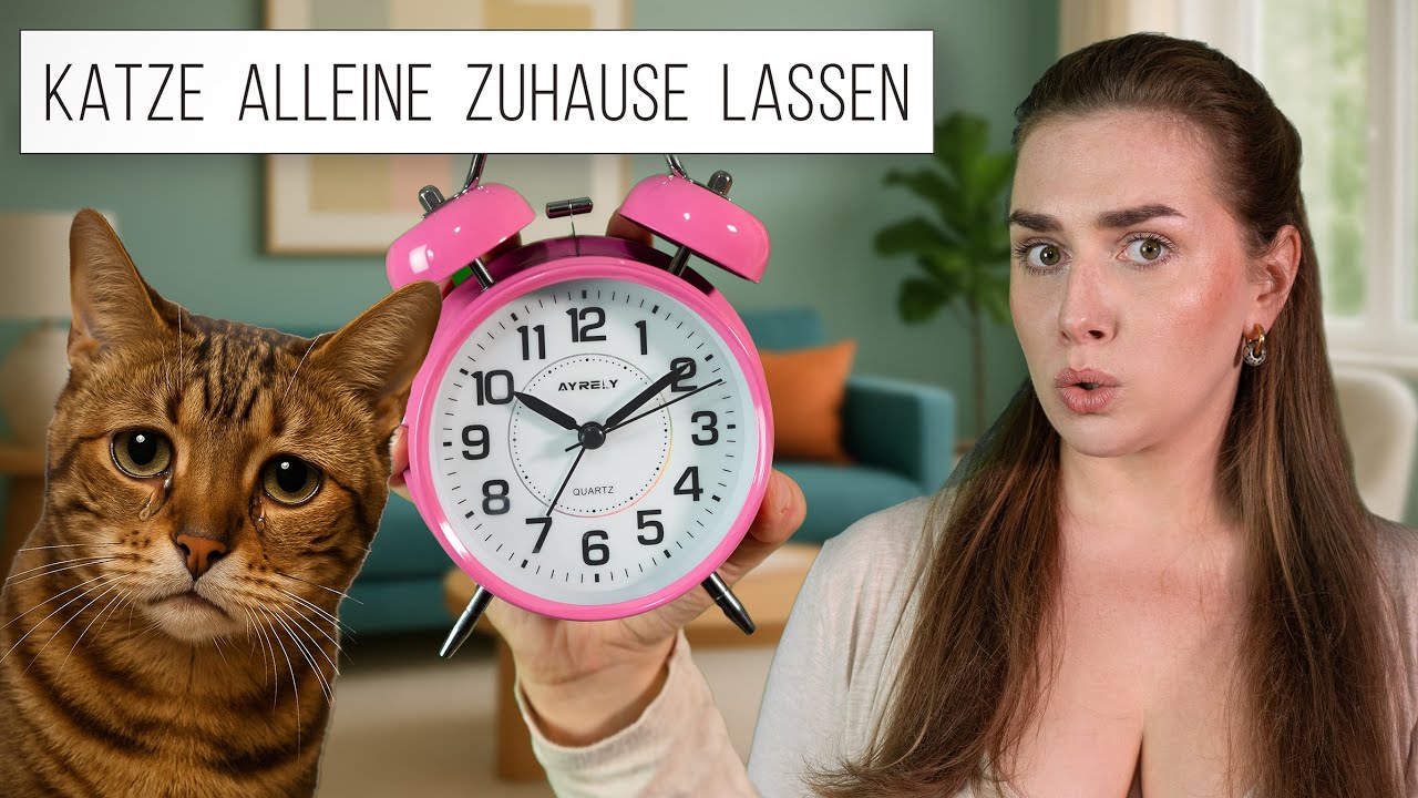 Wie lange darf eine Katze ALLEINE bleiben? 😿⏰ Diese Fehler macht Fast JEDER / Amely Rose