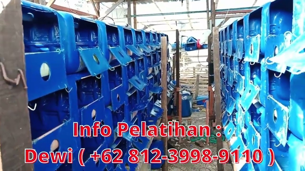Budidaya Kepiting Bakau Aplikasi Air Laut