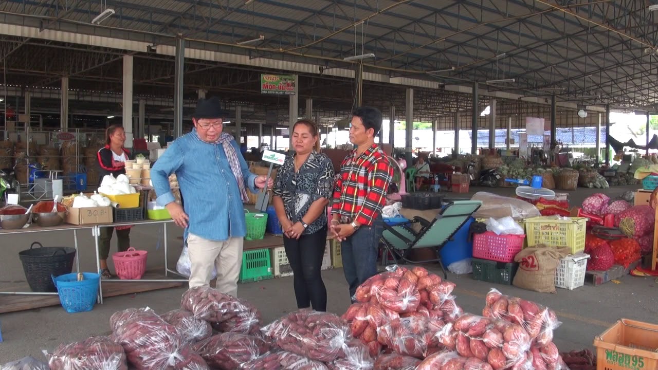 EP06 รับซื้อ-ขายปลีกส่งเผือก มัน โดยเจ้นิด ปาณัสกัญญ์ มีทรัพย์ ตลาดหนองบ้วย ท่ายาง เพชรบุรี