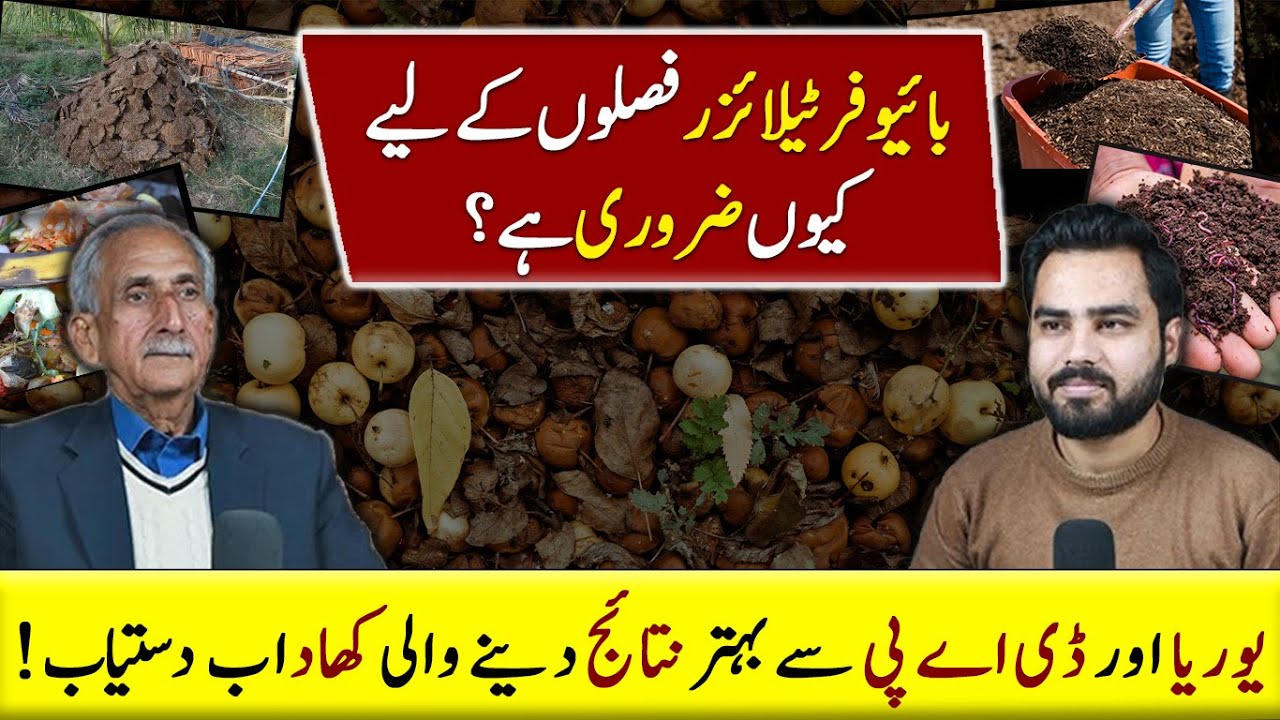 Why Biofertilizers is Better than Chemical Fertilizers? | Higher Production, Lower Expenses