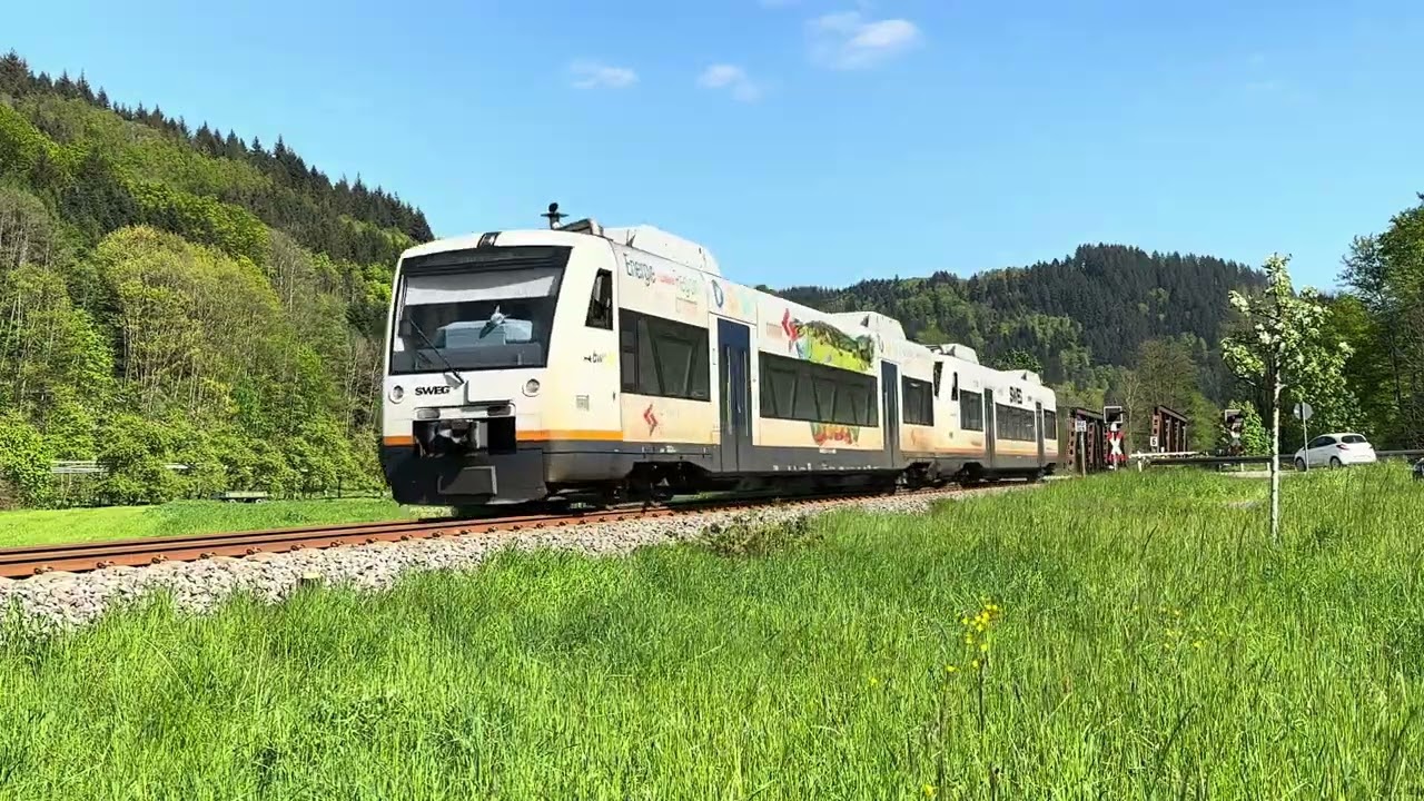 Allemagne compilation vidéos trains Regio-Shuttle RS1 Stadler (Class 650) en Forêt-Noire