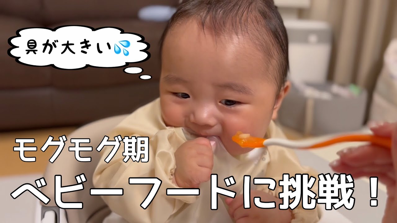 【生後7ヶ月】ベビーフードを食べたらまさかの展開！【離乳食中期】