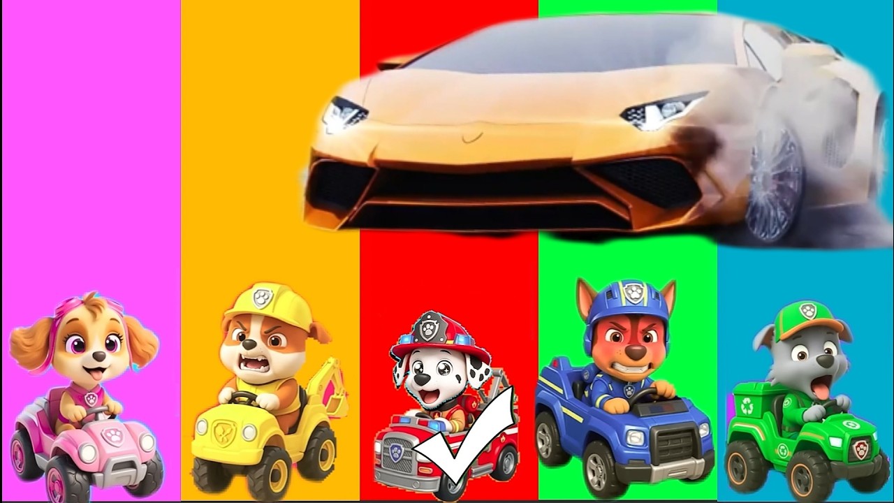 Wrong eyes👀 NEW EPISODES/ Sheriff Labrador x Rocky & BabyBoss Puzzle Wrong HeadsEYE PUZZLE WORLD