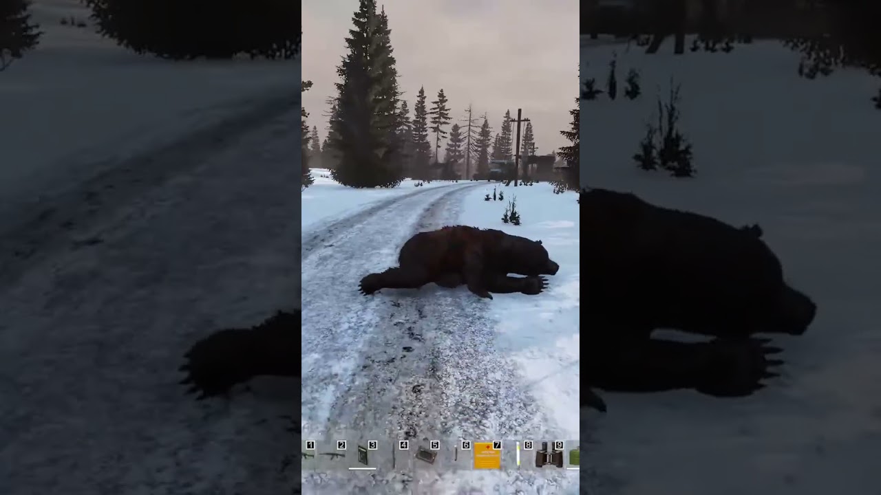 УЛЫБОЧКУ 🐻 #dayz #stalker #stalkerrp #дейз #сталкер #стрим #livestream #shorts #gaming #smile