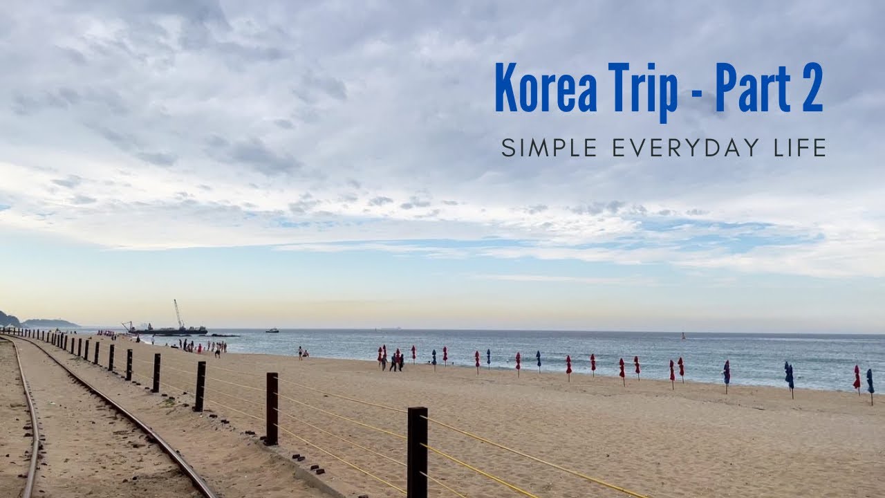 Korea Vlog - Days in Korean Countryside, Sightseeing, Long Walk in the rain, Meeting a tiny frog