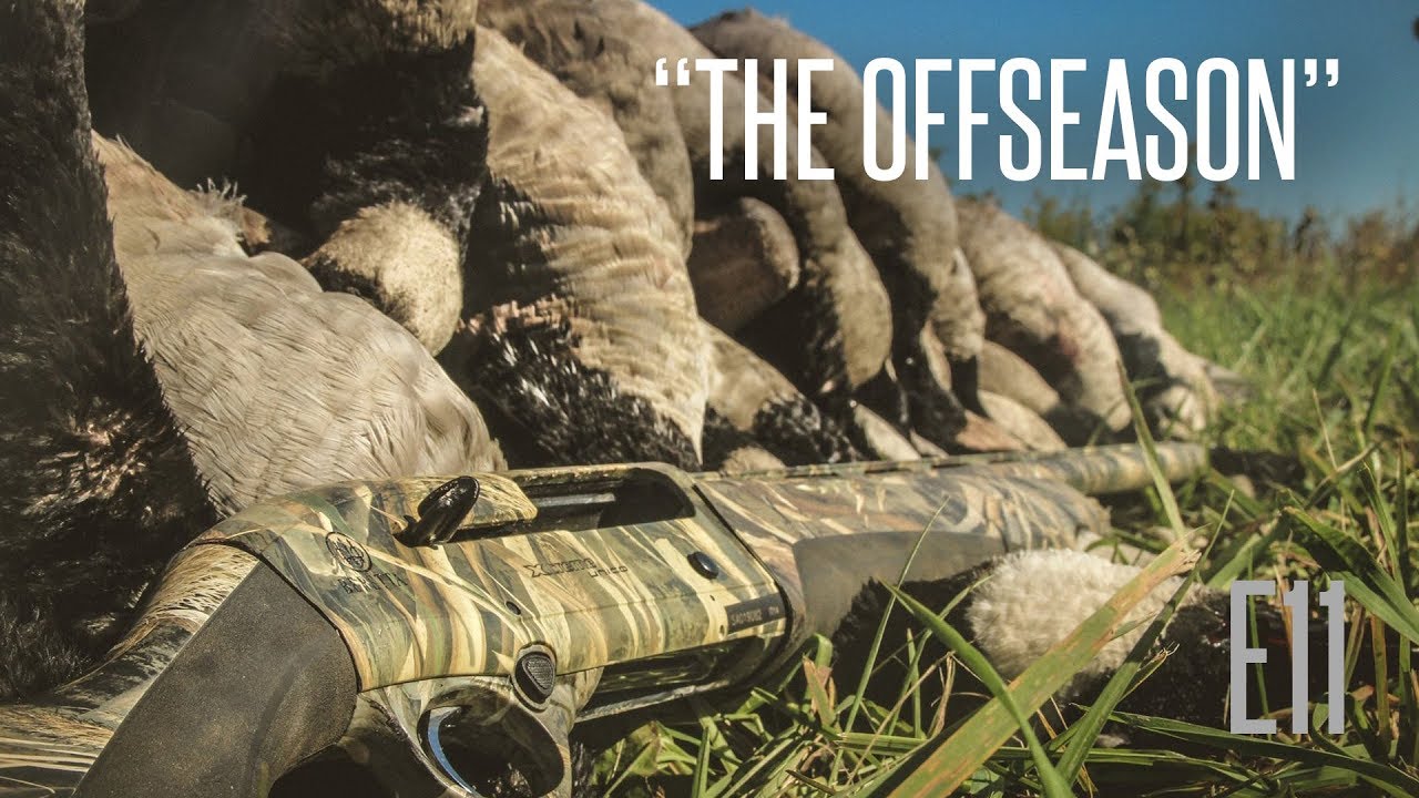 Early Goose Hunting Season Tips