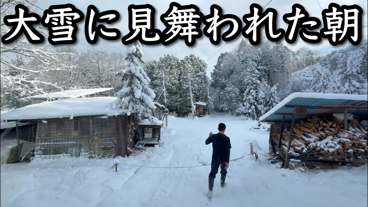 広島も大雪で大変な朝になりました。