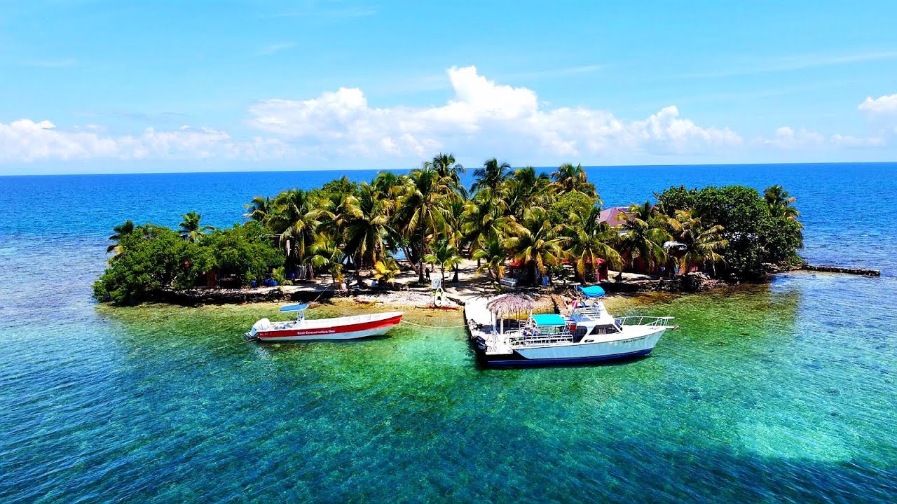 A one-of-a-kind marine conservation experience!!