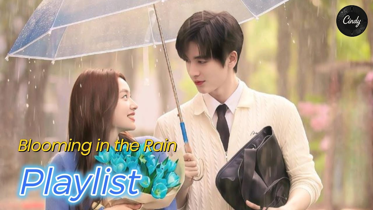 🔥🎧 요즘 가장 인기 있는 음악 | 사랑, 비와 함께 피어나다 | 팝송, POP/R&B