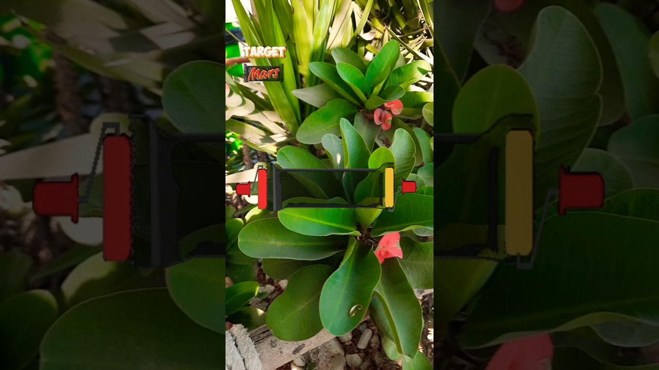 Painting game coloring match Puzzle game 