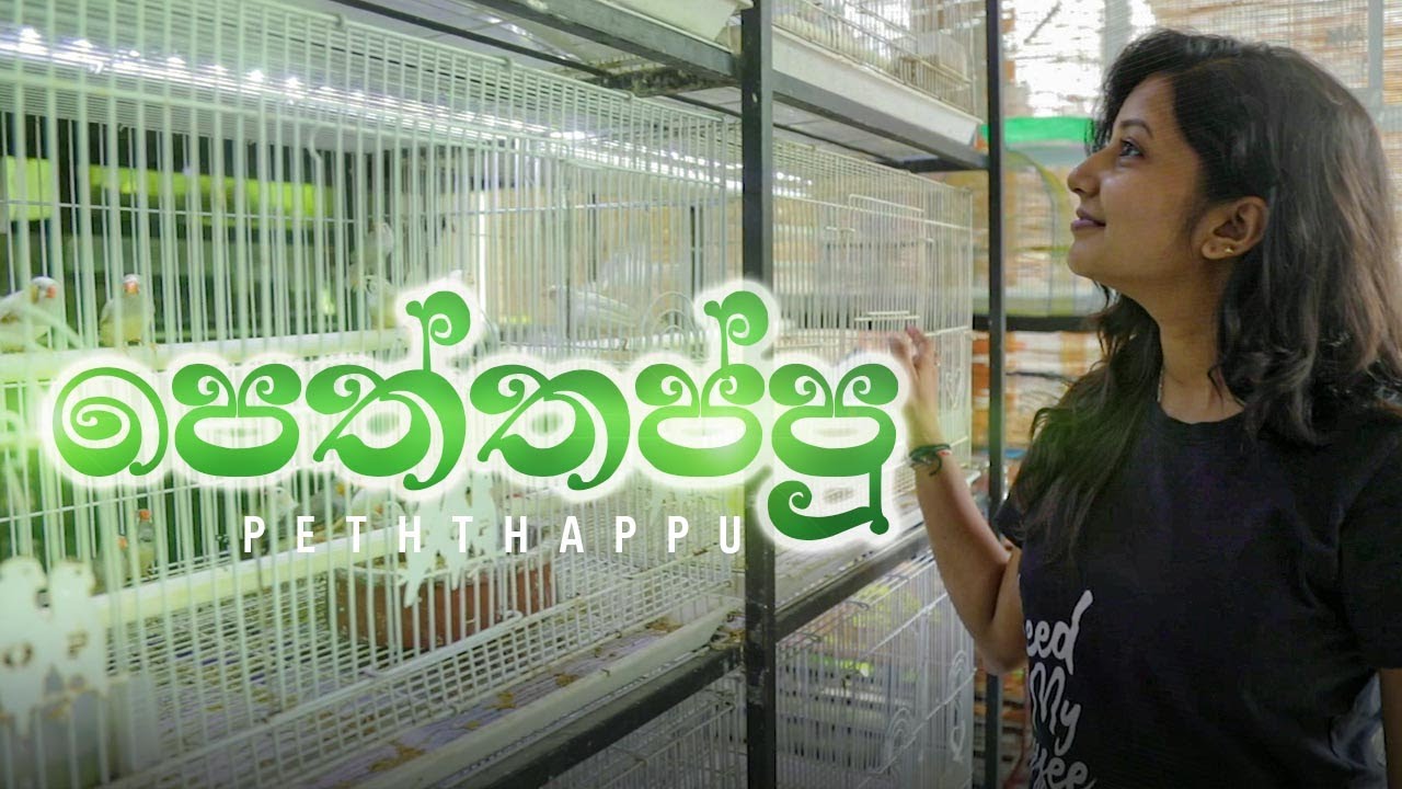 පෙත්තප්පු | Kujeetha Films