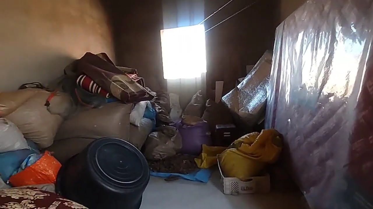 Постарайтесь не засмеяться — Лучшая подборка смешных видео — Смешные животные