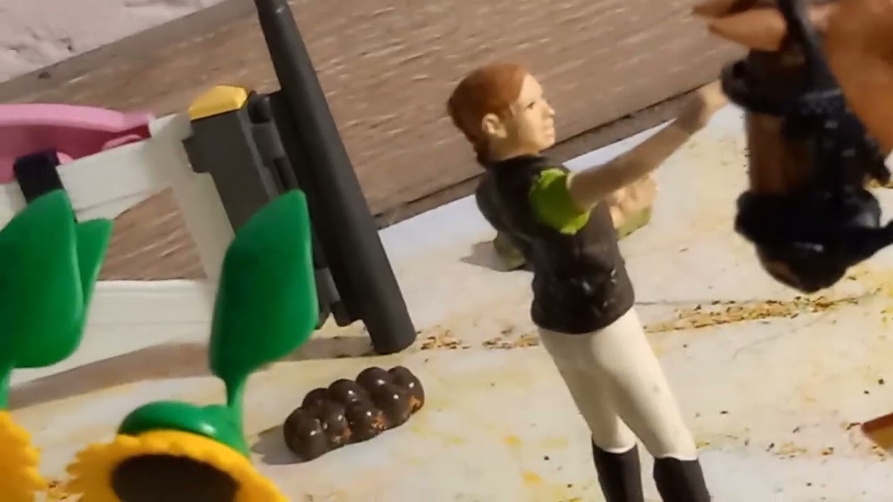 10 Arten von Springreitern mit special Guest:-)