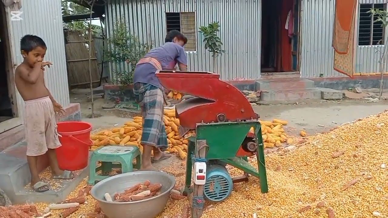 আজ মেশিন‌ দিয়ে ‌ভুট্টা ভাঙলাম।