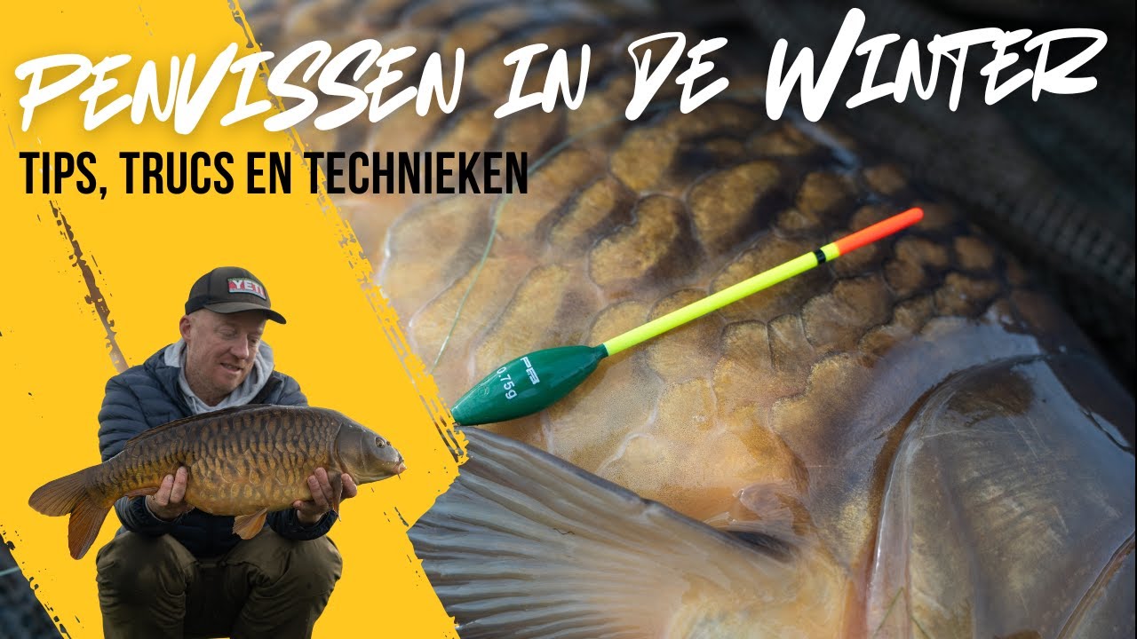 ALLES OVER HET PENVISSEN OP KARPER IN DE WINTER