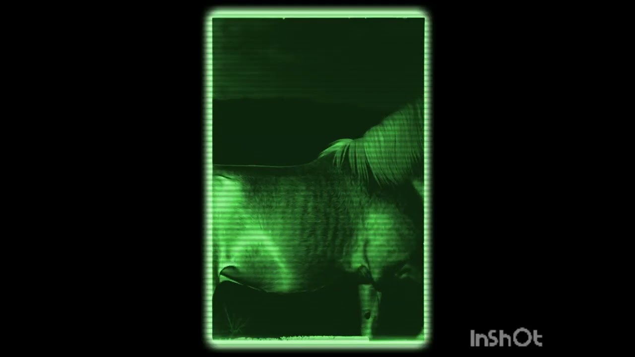 19 de dezembro de 2025