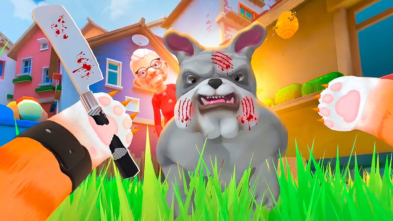 Gato nordestino BAGAÇANDO uma véia e seu CACHORRO KKKKKKKK - i AM cat VR