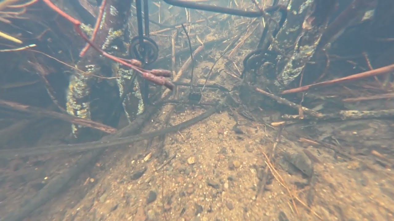 Trapping otter and mink under the ice. Check number one
