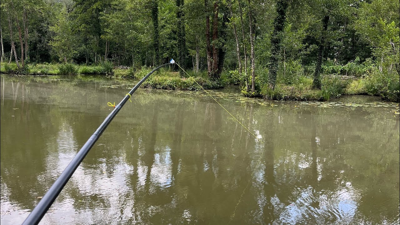 Comment j’aborde ma pêche sur un carpodrome inconnu ?
