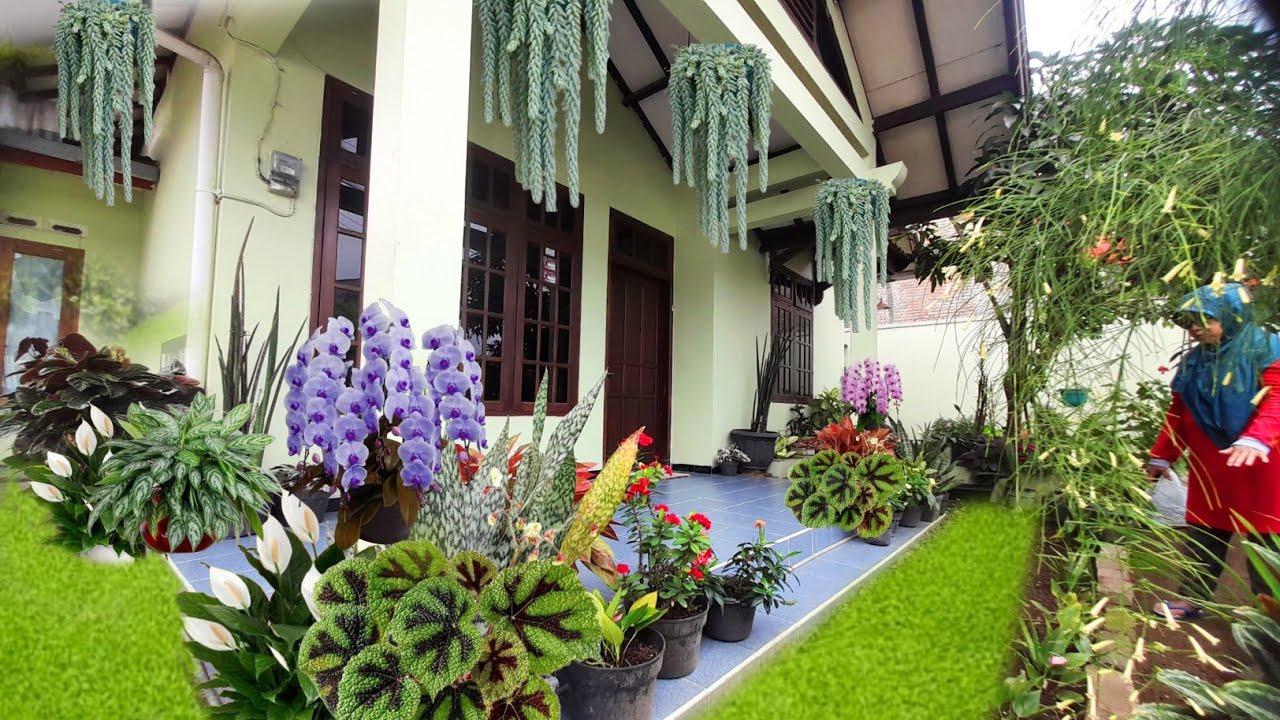 DUA BELAS TAHUN PENSIUN DIRUMAH AJA MAKIN AWET MUDA MANFAATKAN WAKTU SENGGANG RAWAT TANHIAS DI RUMAH