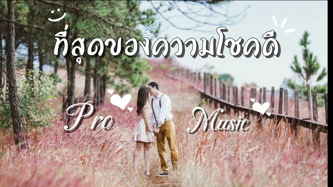 ที่สุดของความโชคดี -  Pro Music 