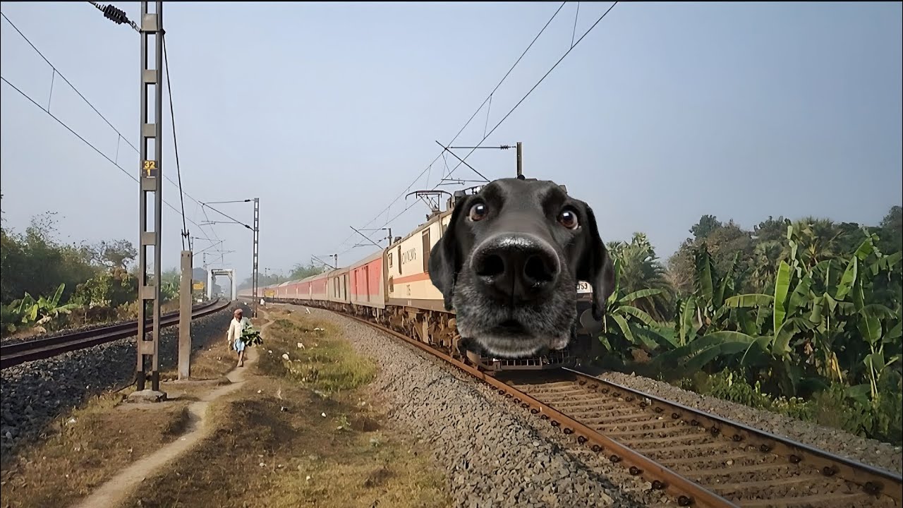 Dangerous Dog Headed Kolkata Garib Rath Express Train 