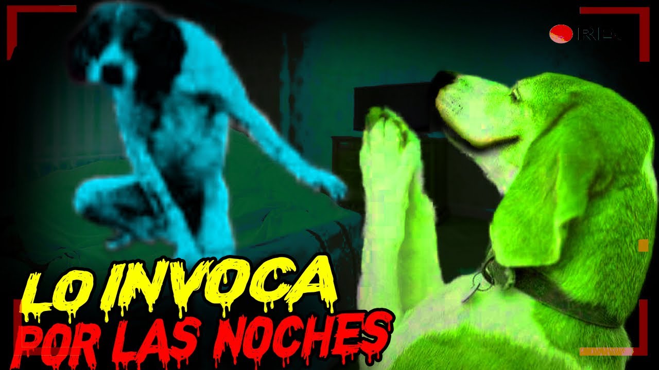 MI PERRA es un SKINWALKER...  REZA POR LAS NOCHES ✝️😱 NUNCA TU DUERMAS JUNTO A tu BONITO NAHUAL