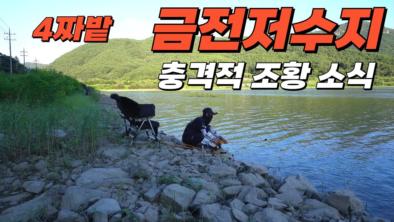 50마리? 100마리?//충격적인 조황소식// 가지마세요#fishing