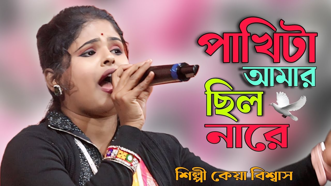 পাখিটা আমার ছিল নারে || কেয়া বিশ্বাস || Pakhi Ta Amar Chilo Nare || Keya Biswas || New Sed Song 
