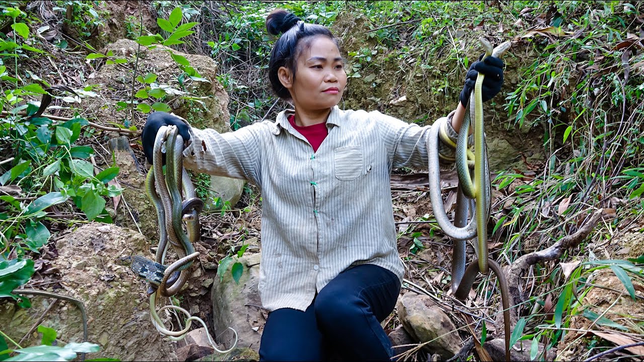 My Free Life take Refuge in the Forest - Snake Attack - Harvesting Wild Tubers goes to Market Sell