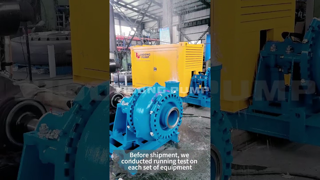 Customized sand pumps for customers in the Philippines