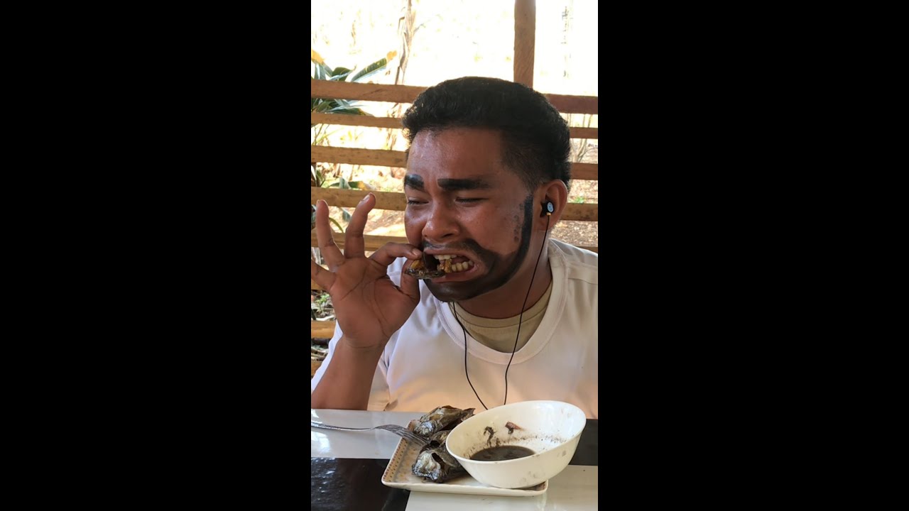TITO MARS PARODY TOYO