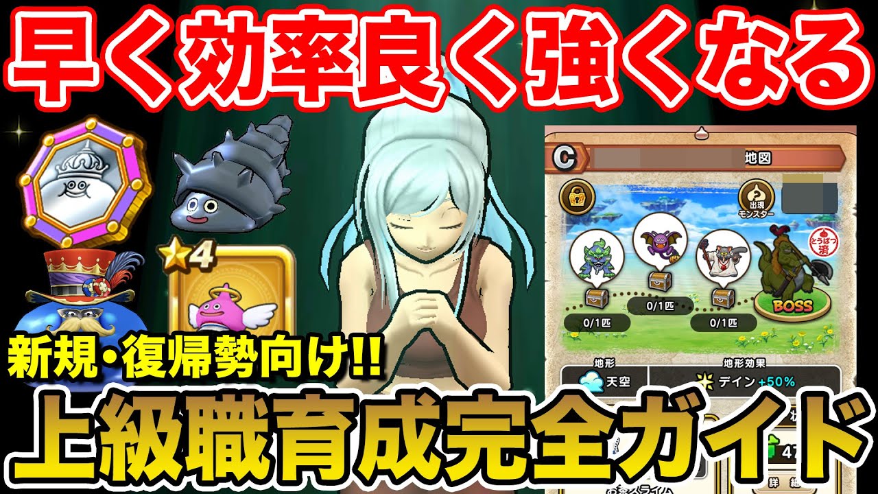 【ドラクエウォーク】早く効率良く強くなるにはコレ!! 新規・復帰勢向け上級職育成完全ガイド!!【DQW】