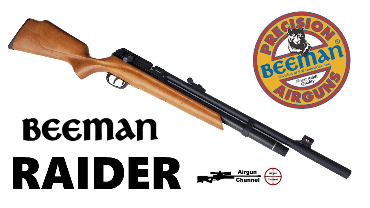 Beeman RAIDER Review (Budget PCP Rifle) Does this Classic Air Rifle Perform in 2025?