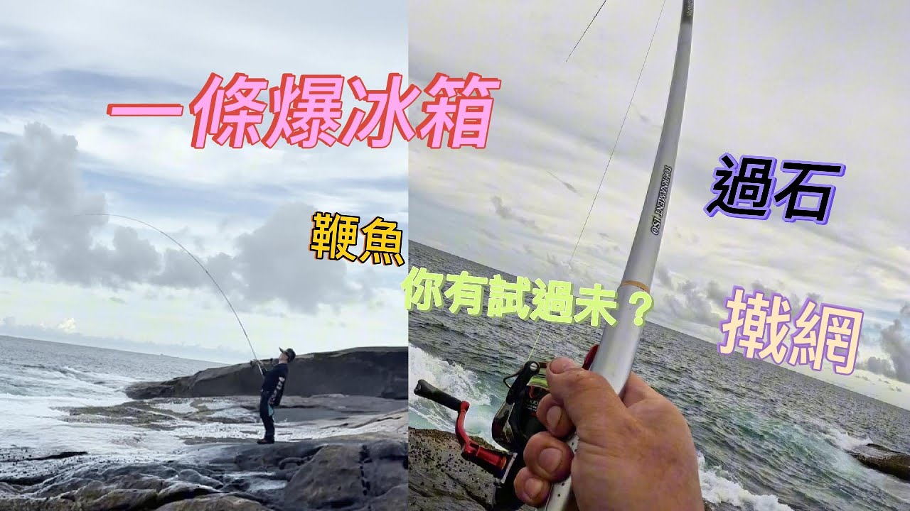 一條爆冰箱～鞭魚是傳說定是一種動作呢？過石+撠網又點算好⋯⋯