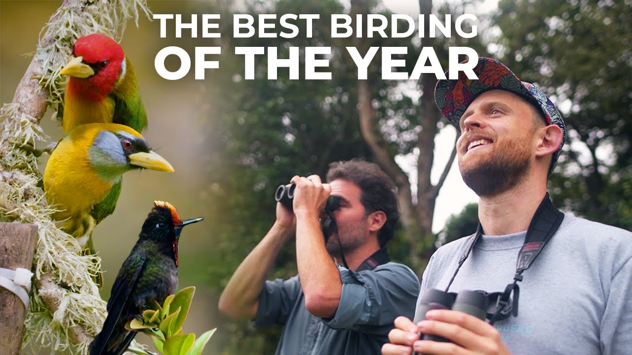 Our Top Birding Moments of 2022