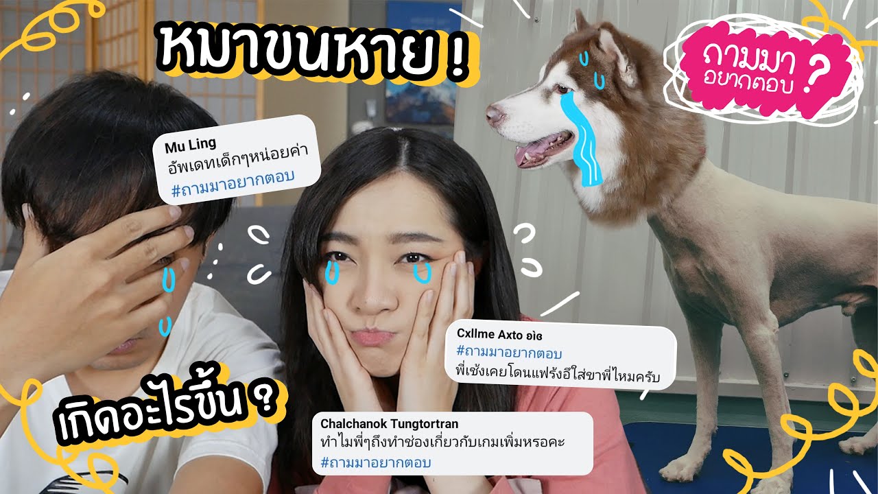 แฟรงค์ขนหาย! เกิดอะไรขึ้น? หมากัดกัน?~ ถามมาอยากตอบ 21