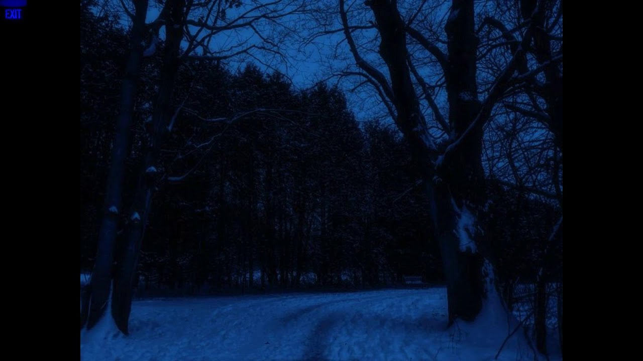 winter ambient  // for deep focus