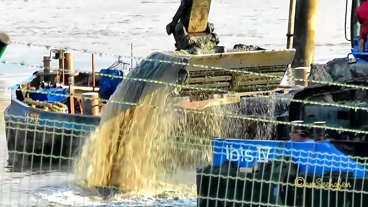 wet dredger IBIS IV PF9944 MMSI 244710062 Emden HEUVELMAN Nassbagger in Action