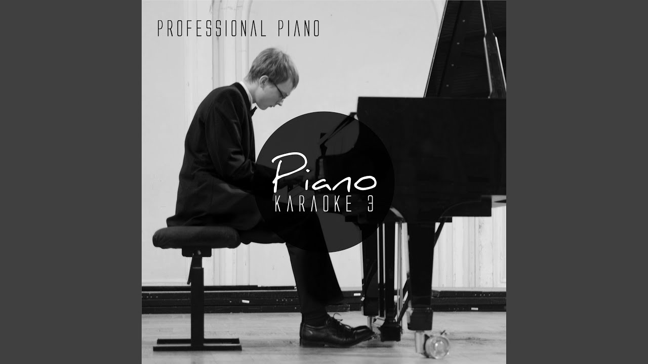 You Light up My Life (Instrumental Playback)