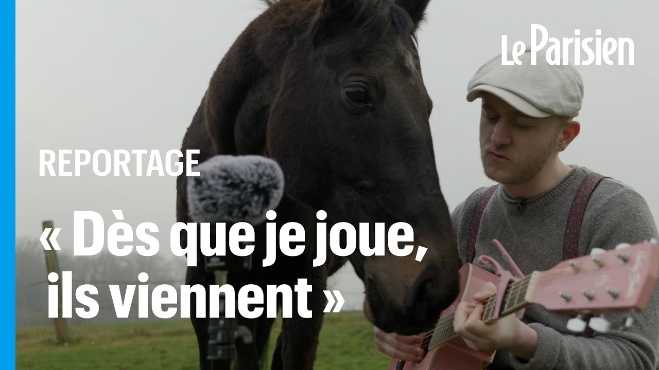 L’homme qui joue de la musique aux animaux