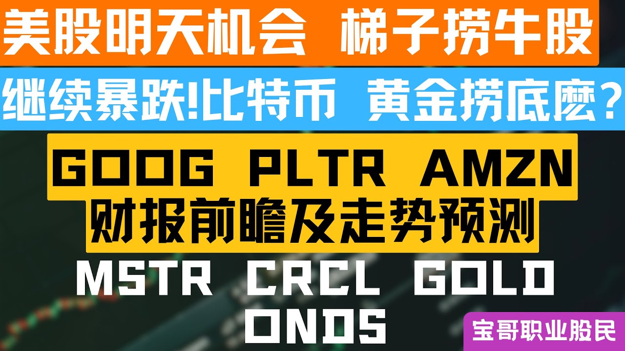 继续暴跌!比特币 黄金捞底麽? GOOG PLTR AMZN财报前瞻及走势预测！MSTR CRCL GOLD ONDS！02012026 #美股 #股票 #美股分析 #投資