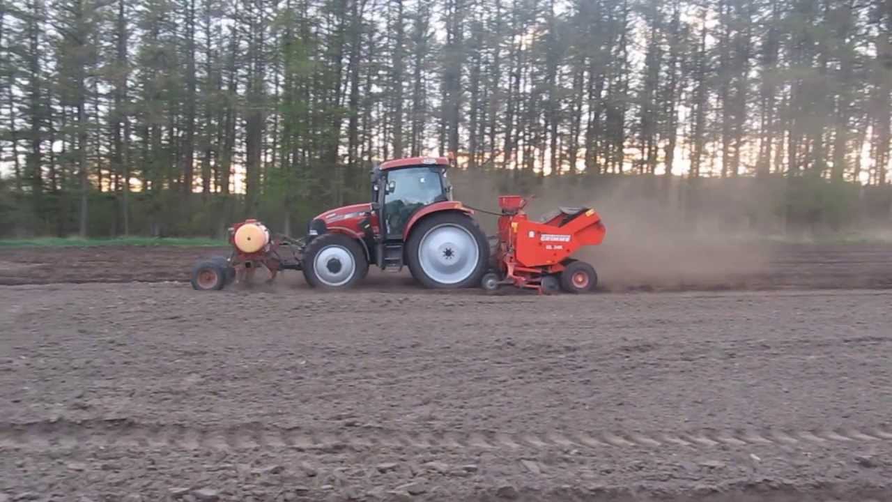 Kartoffeln pflanzen czyli sadzenie ziemniaków w Niemczech