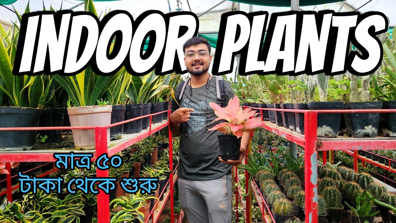 বনসাই ও Indoor গাছের স্বর্গ রাজ্য || কাঁথি || Moto and Vlog