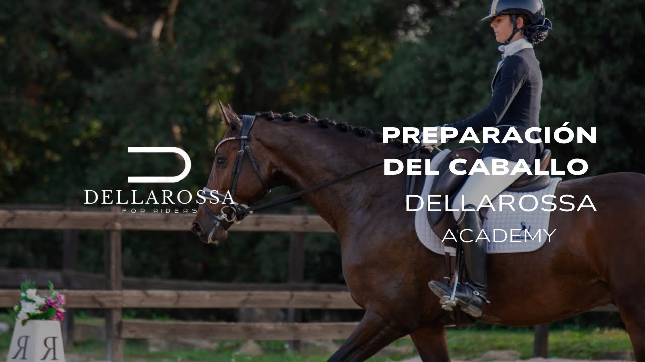 COMO PREPARAR A TU CABALLO