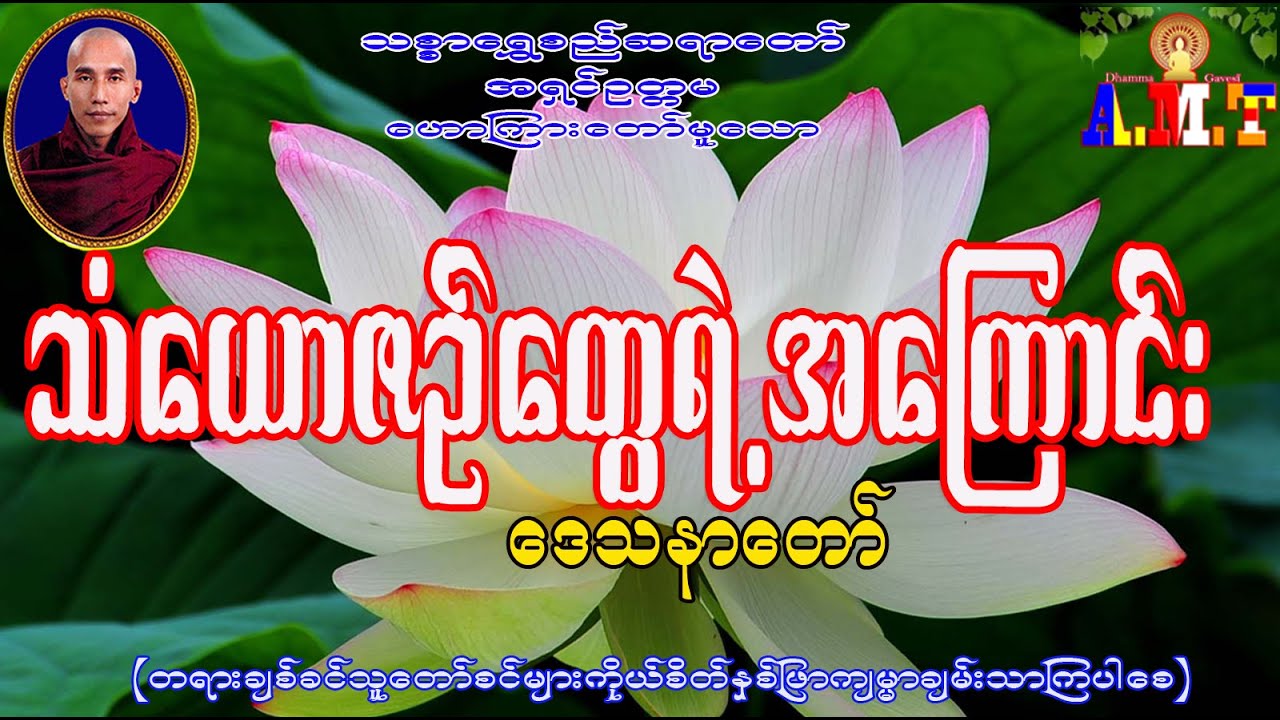 သံယောဇဉ်တွေရဲ့အကြောင်း သစ္စာရွှေစည်ဆရာတော် အရှင်ဥတ္တမ