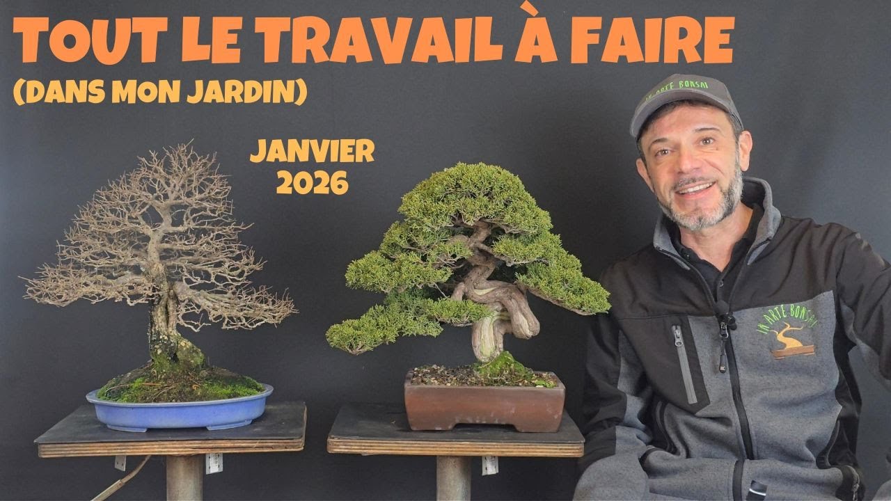 Janvier 2026: tout le travail à faire (dans mon jardin)